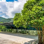 Nikoleta 2 *